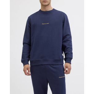 Product JACK&JONES JORNORREBRO EMB SWEAT CREW NOOS base image