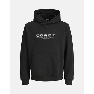 Product JACK&JONES JCOSTANCE TEXT PRINT SWEAT HOOD base image
