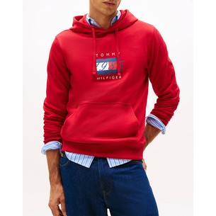 Product TOMMY HILFIGER LINEAR FLAG GRAPHIC HOODIE base image