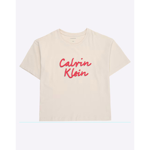 Product CALVIN KLEIN JEANS BOXY TEE METALLIC LOGO TECH base image