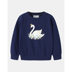 Product NAME IT NMFVENUS LS NREG SWEAT BRU base image