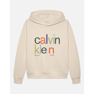 Product CALVIN KLEIN COLOR LOGO GRAPHIC TERRY HOODIE base image