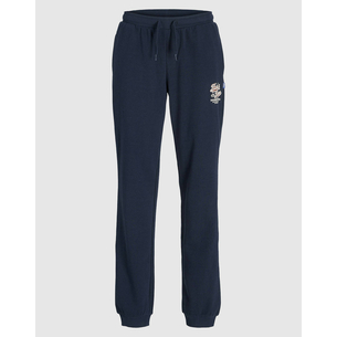 Product JACK&JONES JPSTELOGO SWEATPANTS 2COL 25/26 NOOS JNR base image