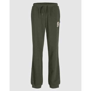 Product JACK&JONES JPSTELOGO SWEATPANTS 2COL 25/26 NOOS JNR base image