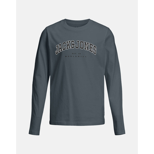 Product JACK&JONES JJECALEB VARSITY TEE LS O-NECK SN JNR base image