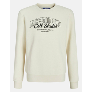Product JACK&JONES JJMAKOTO SWEAT CREW NECK JNR base image
