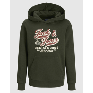 Product JACK&JONES JJELOGO SWEAT HOOD 2 COL 25/26 NOOS JNR base image