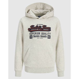 Product JACK&JONES JJELOGO SWEAT HOOD 2 COL 25/26 NOOS JNR base image