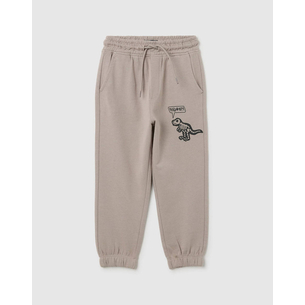 Product OVS TROUSERS DINO base image