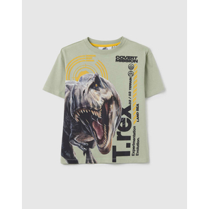 Product OVS T-SHIRT GREEN base image