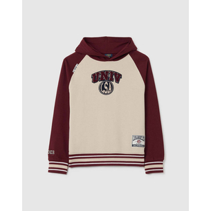Product OVS HOODIE CONTARST COLOR base image