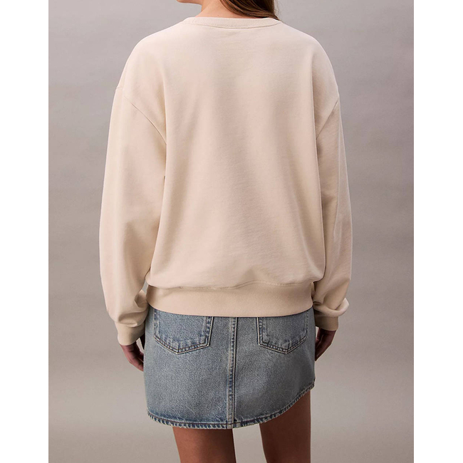 Product CALVIN KLEIN JEANS LS MONOLOGO FRENCH TERRY RLXD CN base image