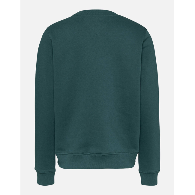 Product TOMMY JEANS TJW REG LINEAR CREW EXT base image