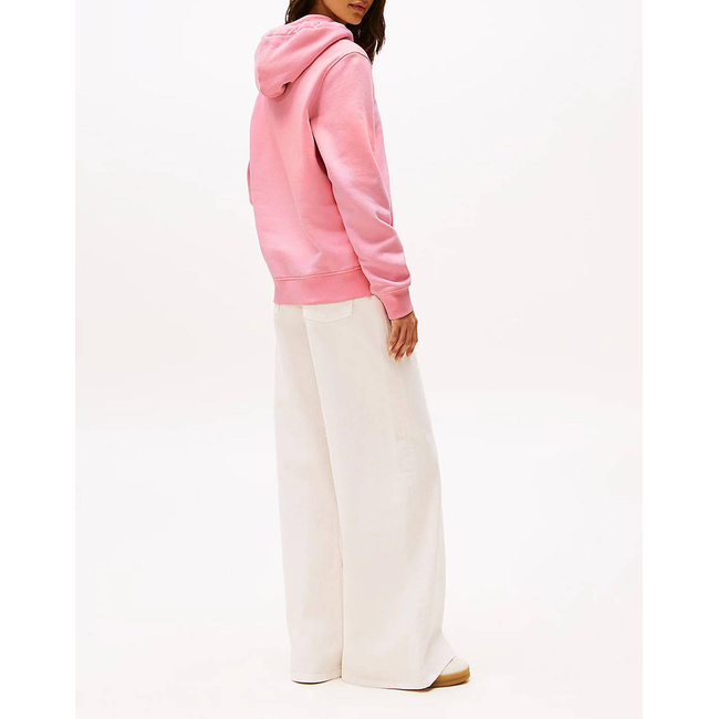 Product TOMMY JEANS TJW REG LINEAR HOODIE base image