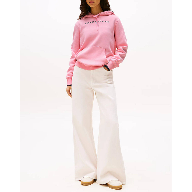 Product TOMMY JEANS TJW REG LINEAR HOODIE base image
