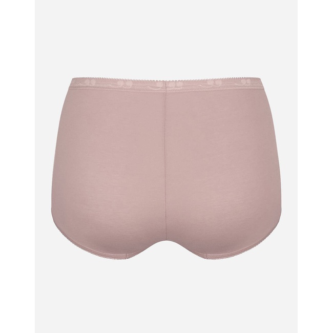Product SLOGGI Basic Maxi SLIP base image