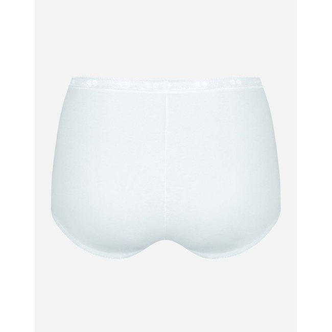 Product SLOGGI Basic Maxi SLIP base image