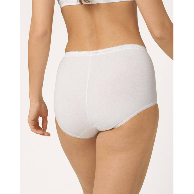 Product SLOGGI Basic Maxi SLIP base image
