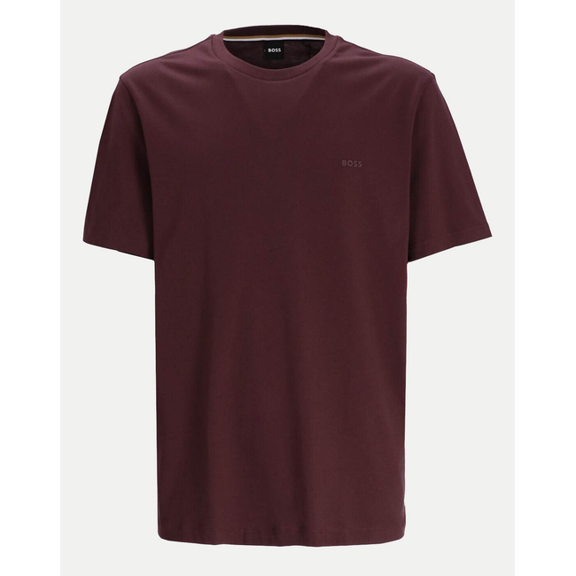 Product BOSS JERSEY Thompson 01 base image