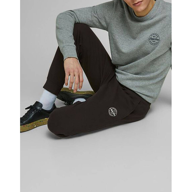 Product JACK&JONES ΠΑΝΤΕΛΟΝΙ ΦΟΡΜΑΣ JJIGORDON JJSHARK SWEAT PANTS AT NOOS base image