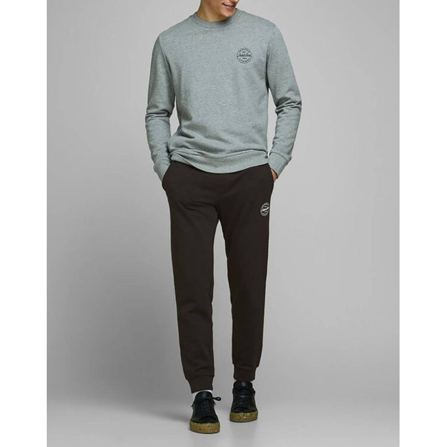 Product JACK&JONES ΠΑΝΤΕΛΟΝΙ ΦΟΡΜΑΣ JJIGORDON JJSHARK SWEAT PANTS AT NOOS base image