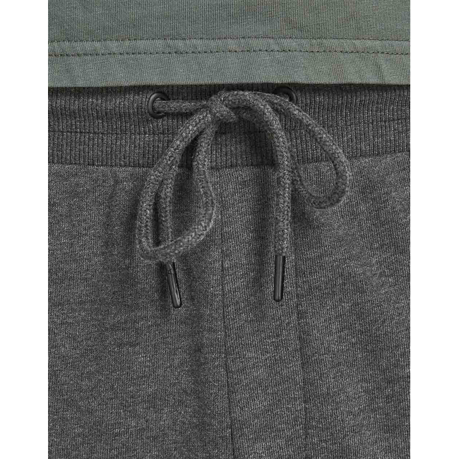 Product JACK&JONES ΠΑΝΤΕΛΟΝΙ ΦΟΡΜΑΣ JJIGORDON JJSHARK SWEAT PANTS AT NOOS base image