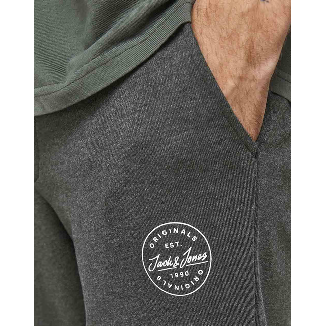 Product JACK&JONES ΠΑΝΤΕΛΟΝΙ ΦΟΡΜΑΣ JJIGORDON JJSHARK SWEAT PANTS AT NOOS base image