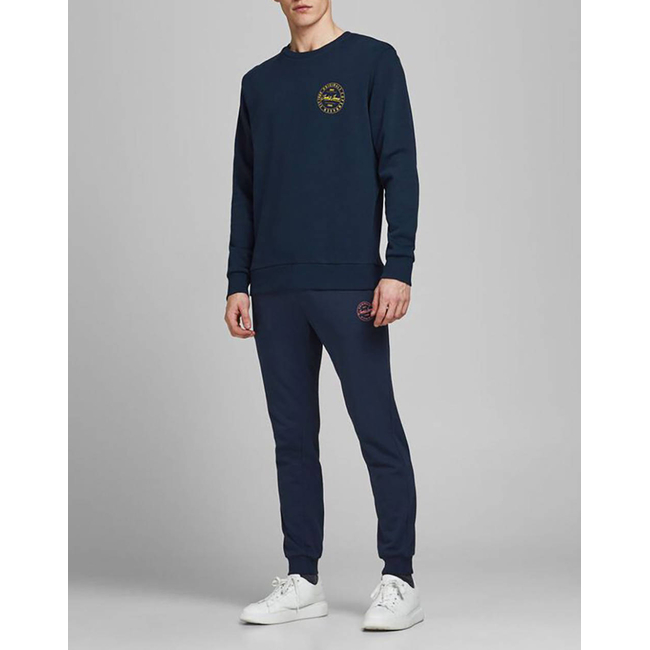 Product JACK&JONES ΠΑΝΤΕΛΟΝΙ ΦΟΡΜΑΣ JJIGORDON JJSHARK SWEAT PANTS AT NOOS base image