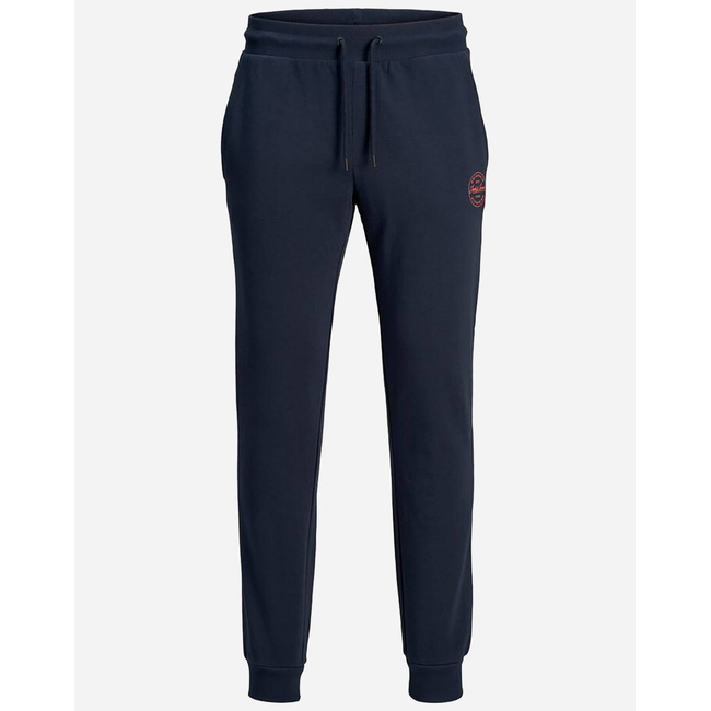 Product JACK&JONES ΠΑΝΤΕΛΟΝΙ ΦΟΡΜΑΣ JJIGORDON JJSHARK SWEAT PANTS AT NOOS base image