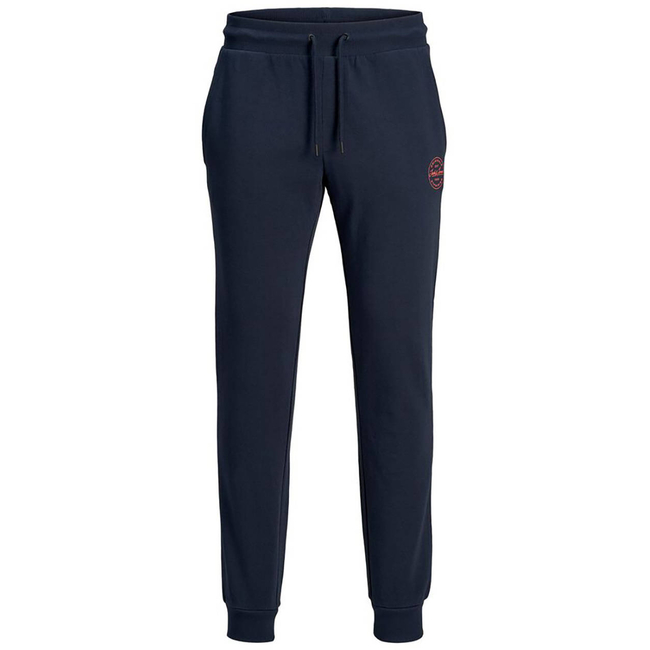 Product JACK&JONES ΠΑΝΤΕΛΟΝΙ ΦΟΡΜΑΣ JJIGORDON JJSHARK SWEAT PANTS AT NOOS base image