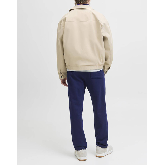 Product JACK&JONES JPSTKANE NORREBRO SWEAT PANTS NOOS base image