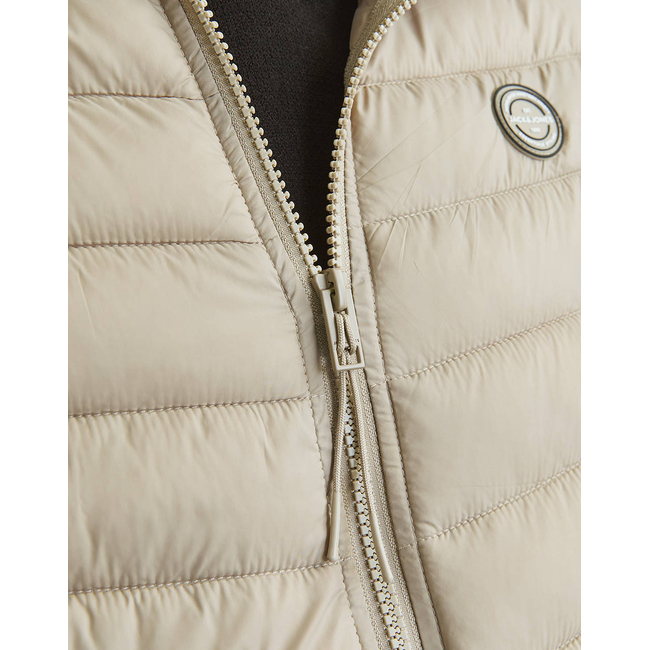 Product JACK&JONES JJESPRINT BODYWARMER COLLAR NOOS base image