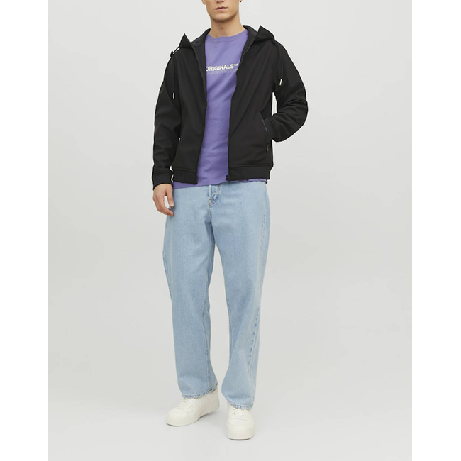Product JACK&JONES JJEBASIC SOFTSHELL HOOD NOOS base image