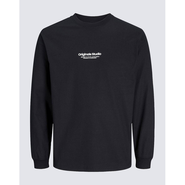 Product JACK&JONES JORVESTERBRO TEE LS CREW NECK NOOS base image