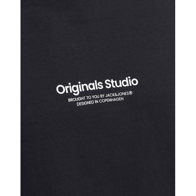 Product JACK&JONES JORVESTERBRO TEE LS CREW NECK NOOS base image
