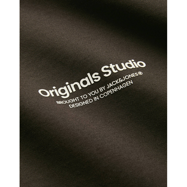 Product JACK&JONES JORVESTERBRO TEE LS CREW NECK NOOS base image