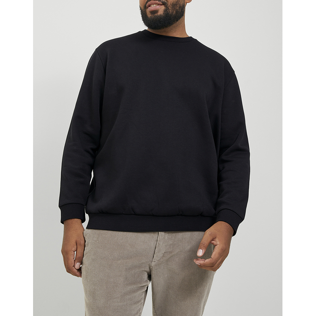 Product JACK&JONES JJEBRADLEY SWEAT CREW NOOS PLS base image