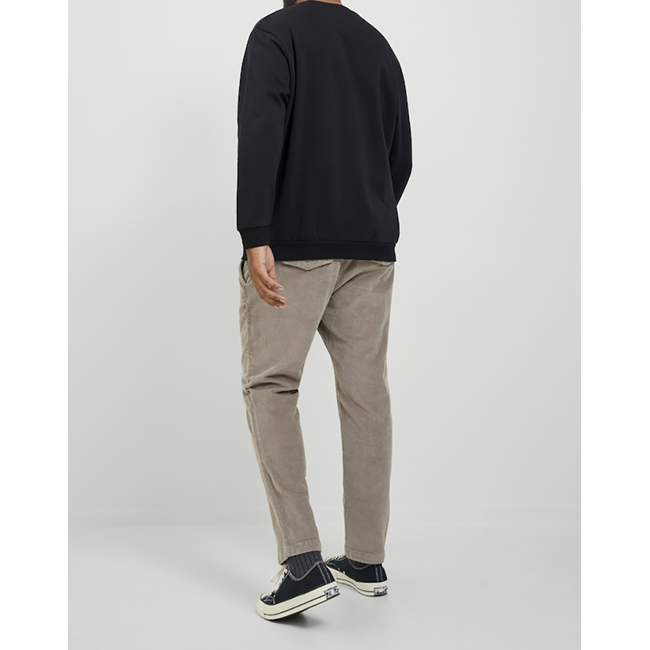 Product JACK&JONES JJEBRADLEY SWEAT CREW NOOS PLS base image