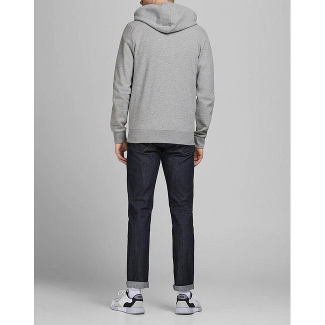 Product JACK&JONES JJEBASIC SWEAT ZIP HOOD NOOS base image