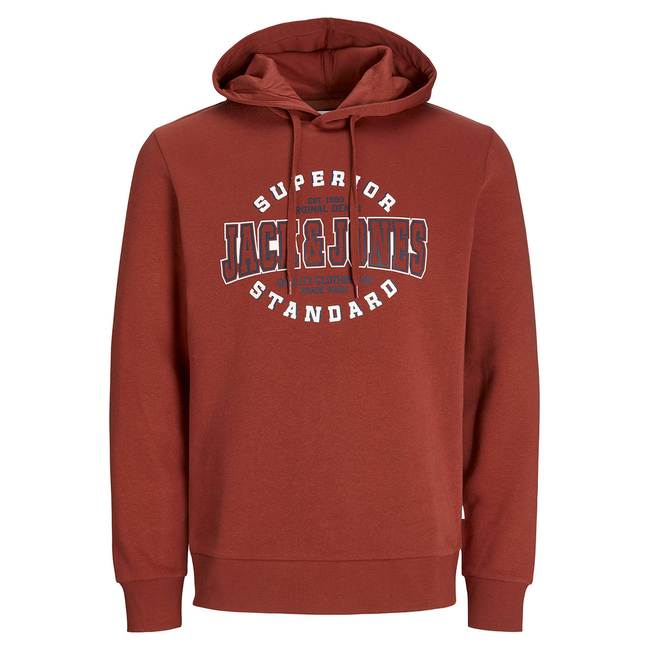 Product JACK&JONES JJELOGO SWEAT HOOD 2 COL 24/25 NOOS base image