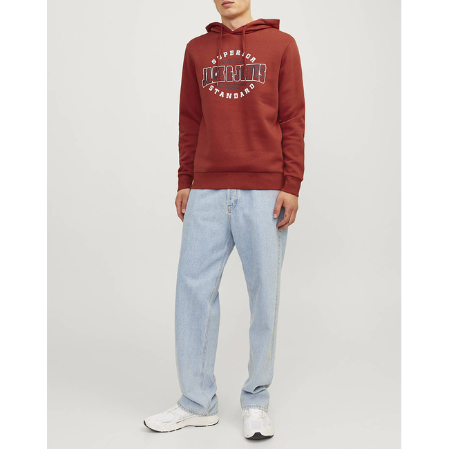Product JACK&JONES JJELOGO SWEAT HOOD 2 COL 24/25 NOOS base image