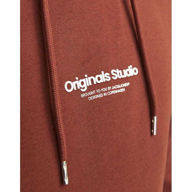 Product JACK&JONES JORVESTERBRO SWEAT HOOD base image