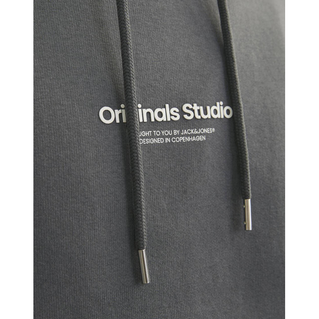 Product JACK&JONES JORVESTERBRO SWEAT HOOD base image