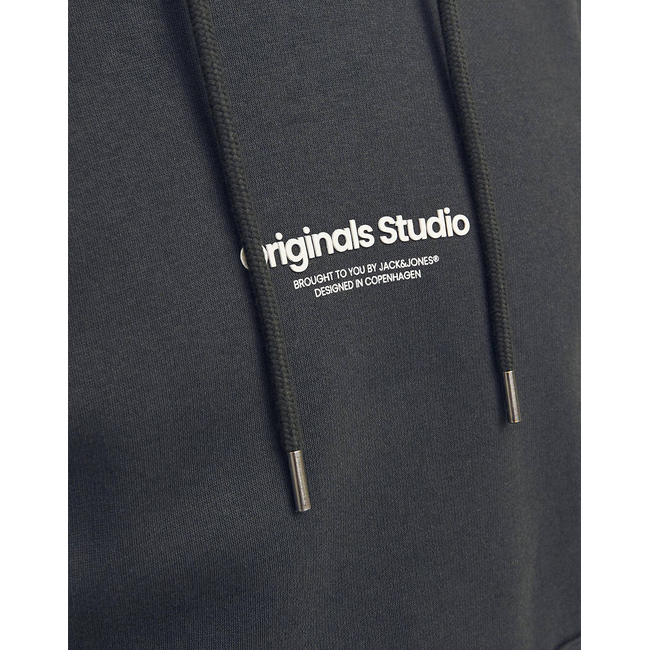 Product JACK&JONES JORVESTERBRO SWEAT HOOD base image