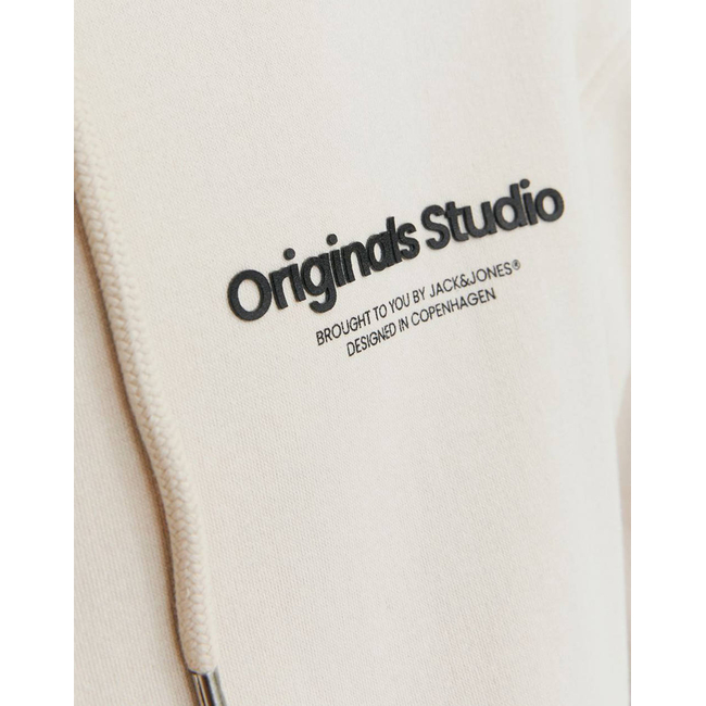 Product JACK&JONES JORVESTERBRO SWEAT ZIP HOOD NOOS base image