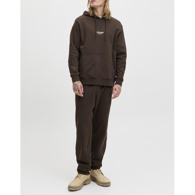 Product JACK&JONES JJESOHO SWEAT HOOD NOOS base image