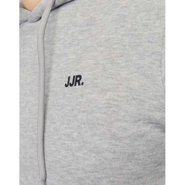 Product JJ REBEL LOGO SWEAT HOOD NOOS base image