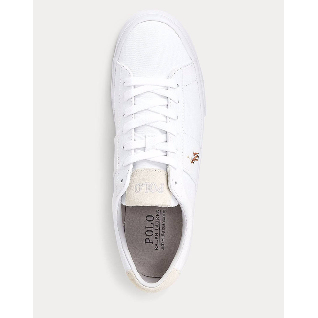 Product RALPH LAUREN CANVAS-SAYER-NE-SK-VLC base image