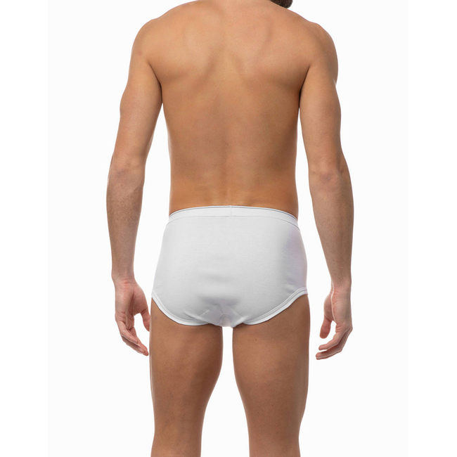 Product MINERVA MEN'S BRIEFS 83 2PCS. base image