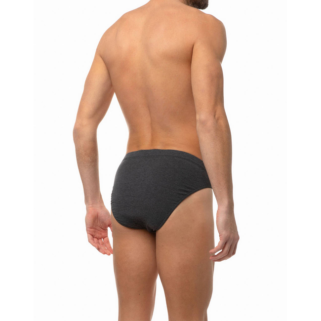 Product MINERVA BRIEFS MEN 3PCS.SPORTIES base image